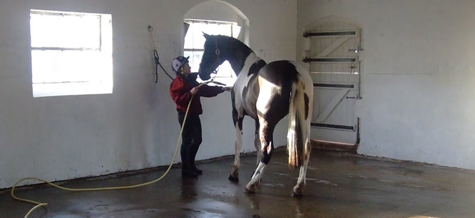 Broxton Hall Gallops - Eight Furlong Gallop for Hire