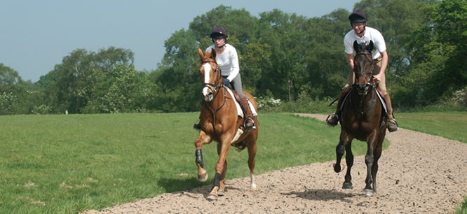 Broxton Hall Gallops - Eight Furlong Gallop for Hire