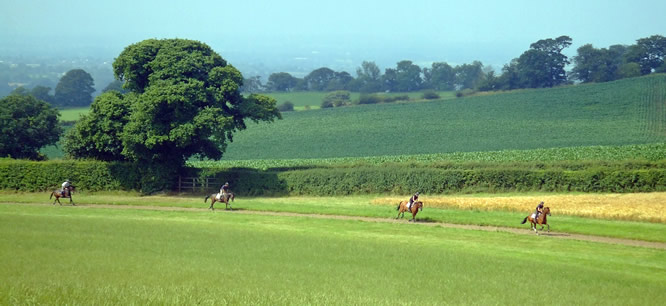 Broxton Hall Gallops - Eight Furlong Gallop for Hire