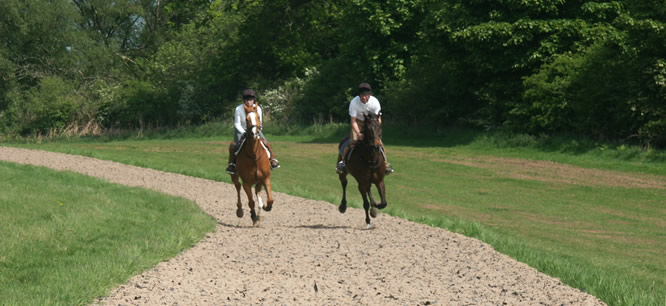 Broxton Hall Gallops - Eight Furlong Gallop for Hire