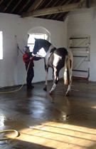 Wash-off facilities at Broxton Hall